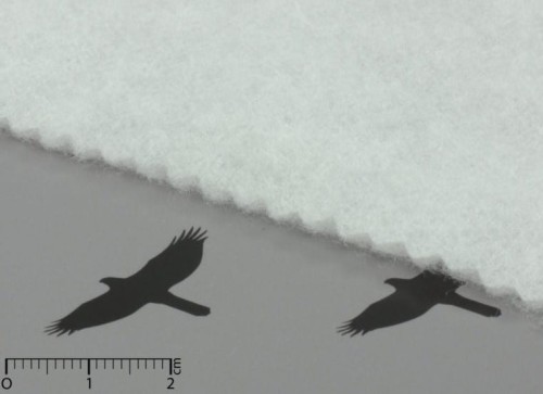 Termolin_N_80 wypełnienie do patchworku