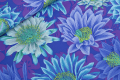 Kaffe Fassett Collective patchwork fat quater