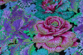 Kaffe Fassett Collective patchwork fat quater