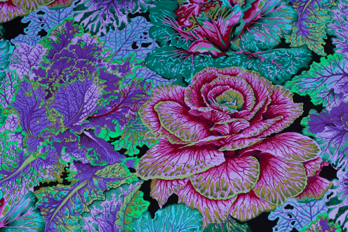 Kaffe Fassett Collective patchwork fat quater