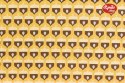 Acorns