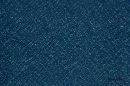 INDIGO Cosmos