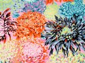 Japanese Chrysanthemum Contrast Kaffe Collective